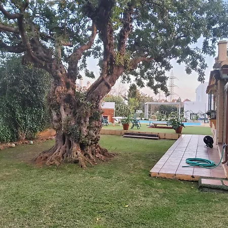 The Enchanted Fairy Forest Villa Marbella