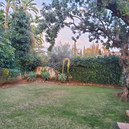 The Enchanted Fairy Forest * Marbella